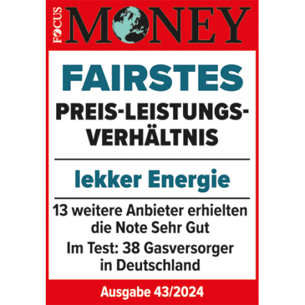 Focus Money: Fairster Gasversorger - 2024